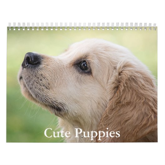 Süße Welpen-Kalender Kalender (Titelbild)