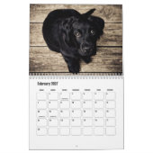 Süße Welpen-Kalender Kalender (Feb 2027)
