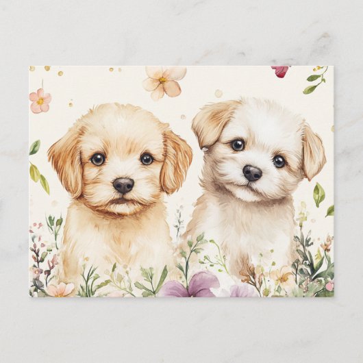 Süße Welpen Postkarte (Vorderseite)