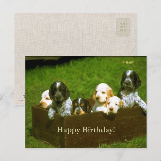 süße Welpen Postkarte (Vorne/Hinten)