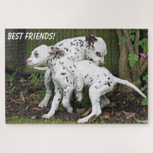 Süße Welpen spielen Puzzle