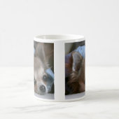 Süße Welpen-Tasse Kaffeetasse (Mittel)