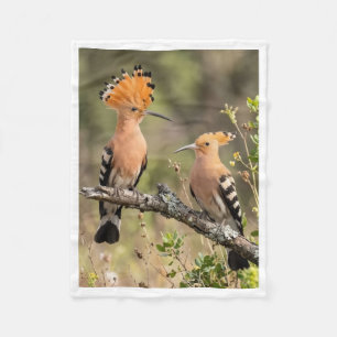Süße Wiedehopf-Vogel-Paar-Natur-Fleece-Babydecke Fleecedecke