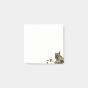 Süße wilde Eichhörnchen auf weißen Post-it-Notizen Post-it Klebezettel