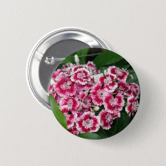 Süße William-Blumen-runder Knopf Button (Vorne & Hinten)