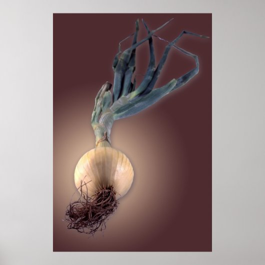Süße Zwiebel Poster (Vorne)