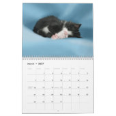 Süssen 2011 kalender (Mär 2027)