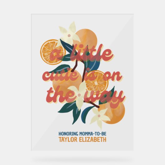 Süssen Babydusche Acrylschild (Vorderseite)