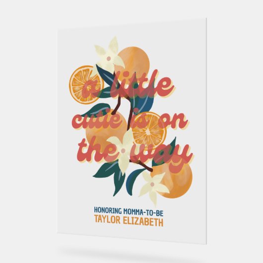 Süssen Babydusche Acrylschild (Winkel)