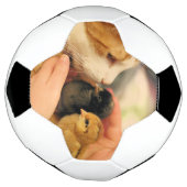 Süssen Fußball (Gedreht)