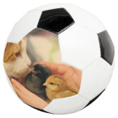 Süssen Fußball (Dreiviertel)