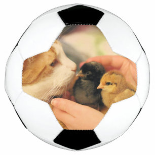 Süssen Fußball