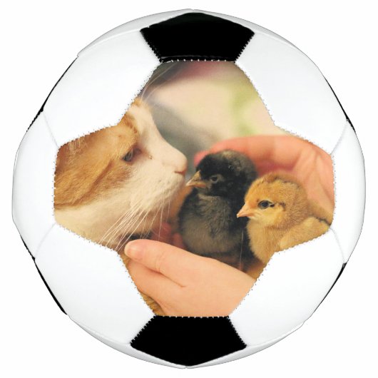 Süssen Fußball (Vorderseite)