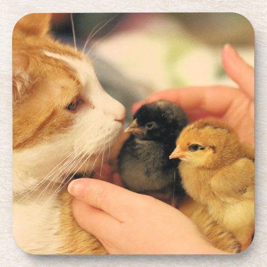 Süssen Getränkeuntersetzer (Vorderseite)