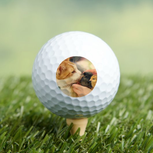 Süssen Golfball (Insitu T-Shirt)