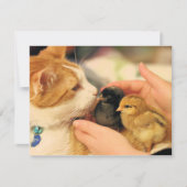 Süssen Karte (Vorderseite)