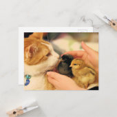 Süssen Karte (Vorderseite/Rückseite Beispiel)