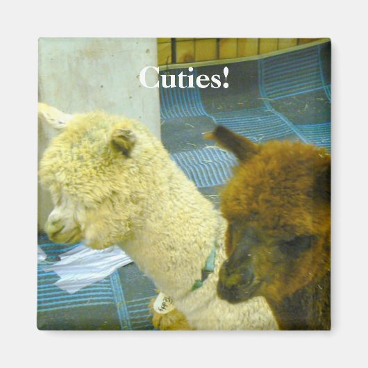 Süssen! Magnet (Vorne)