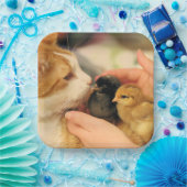 Süssen Pappteller (Party)