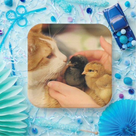 Süssen Pappteller (Party)