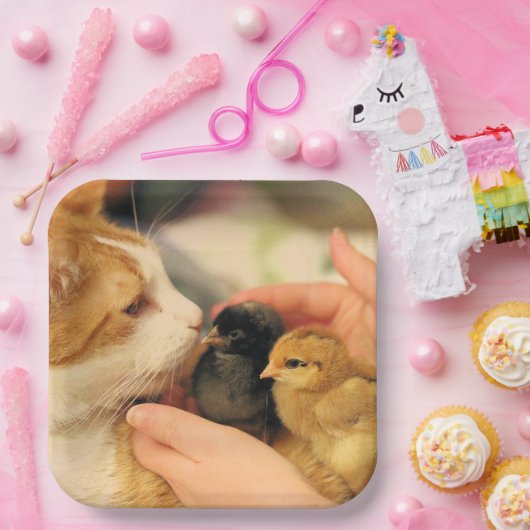 Süssen Pappteller (Party)