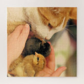 Süssen Puzzle (Horizontal)