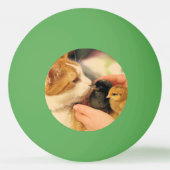 Süssen Tischtennisball (Rückseite)