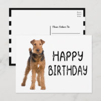 Süßer Airdale Terrier Welpe Hund Alles Gute zum Ge
