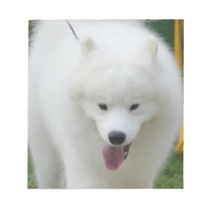 Süßer Amerikanischer Eskimo Hund Notizblock
