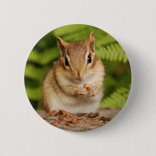 süßer Baby Chipmunk Button (Vorderseite)