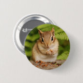 süßer Baby Chipmunk Button (Vorne & Hinten)