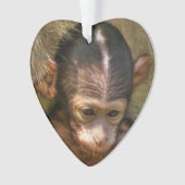 süßer Babyaffe Ornament (Vorderseite)
