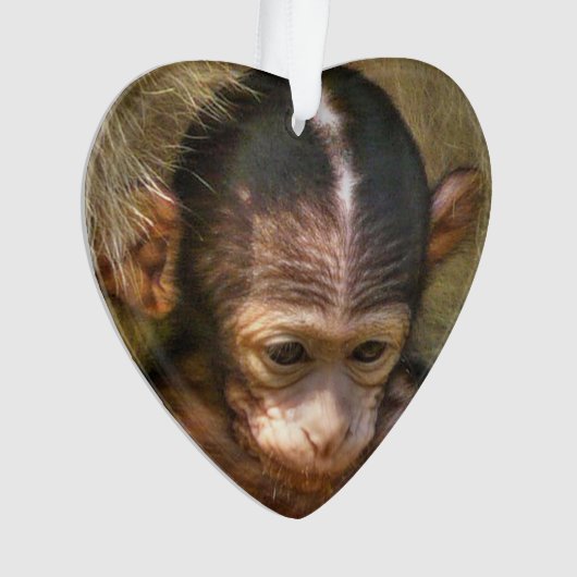 süßer Babyaffe Ornament (Vorderseite)