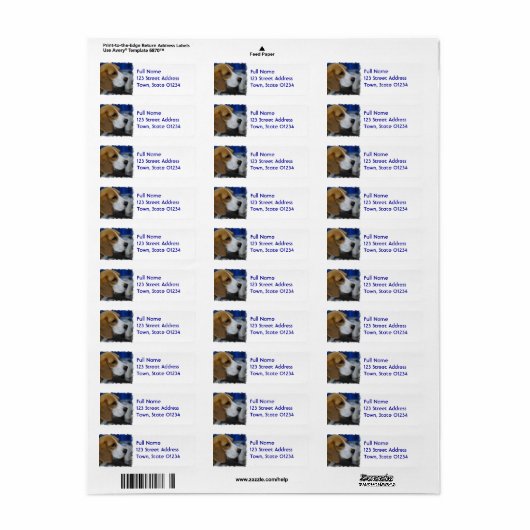 Süßer Beagle (Vorne)