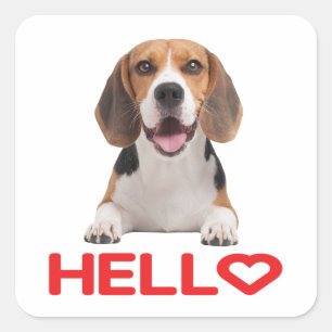 Süßer Beagle-Hund Liebhaber Rotes Herz Hallo Freun Quadratischer Aufkleber