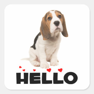 Süßer Beagle-Welpe Hallo Ich denke an dich Freunds Quadratischer Aufkleber