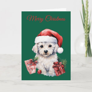 Süßer Bichon Frise zu Weihnachten