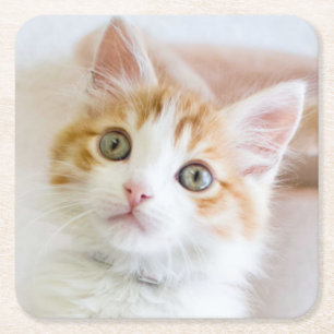 Süßer blauer mit Augen Kitty Rechteckiger Pappuntersetzer