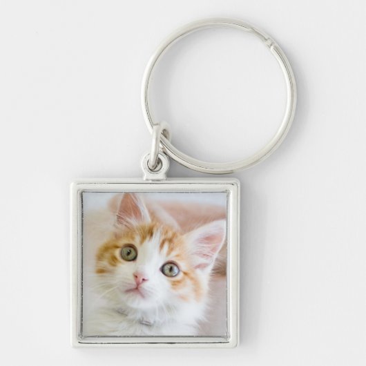 Süßer blauer mit Augen Kitty Schlüsselanhänger (Vorne)