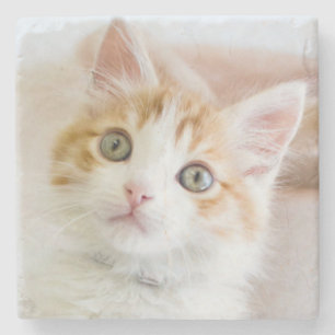 Süßer blauer mit Augen Kitty Steinuntersetzer