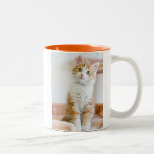 Süßer blauer mit Augen Kitty Zweifarbige Tasse