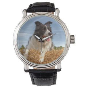 Süßer Border Collie Hund Armbanduhr