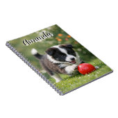 Süßer Border Collie mit rotem Ball Notizblock (Rechte Seite)