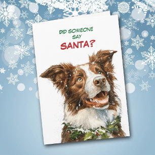 Süßer Border Collie sucht nach Santa Feiertagskarte
