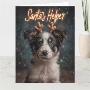 Süßer Border Collie Welpe als Santas Helfer Karte