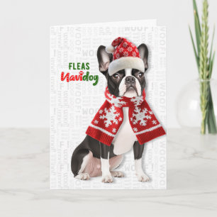 Süßer Boston Terrier Hund Flöhe Navidog Weihnachte Feiertagskarte