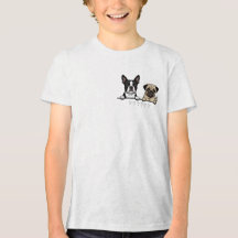 Süßer Boston Terrier & Pug Hund für Hunde-Liebhabe