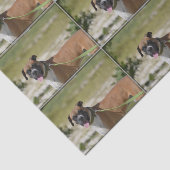 Süßer Boxer Seidenpapier (Ausschnitt)