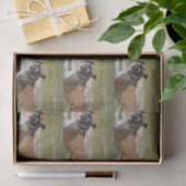 Süßer Boxer Seidenpapier (Geschenk)