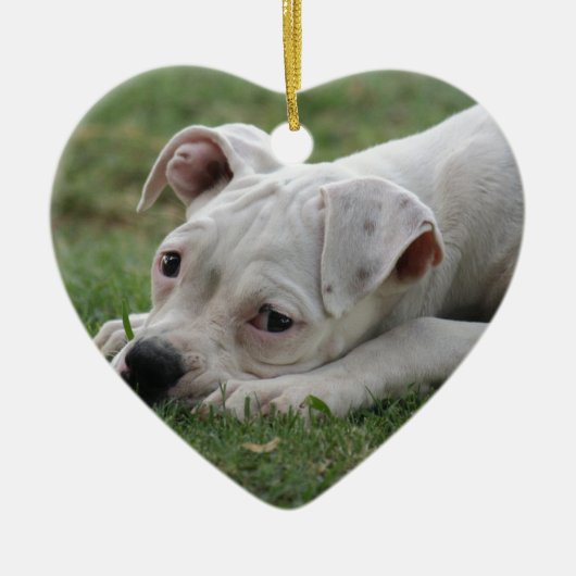 Süßer Boxer-Welpe Keramik Ornament (Vorne)